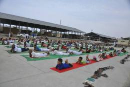 Yoga Shivir 2017